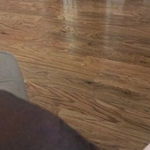 Meet your Posher, Janice